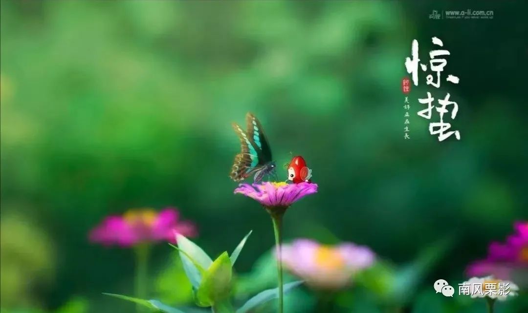 陌上芳华|赵洪伟 惊蛰