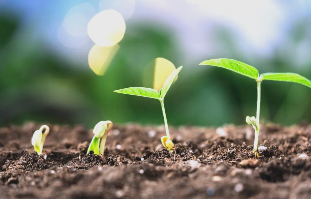 守护土壤健康,构建绿色家园