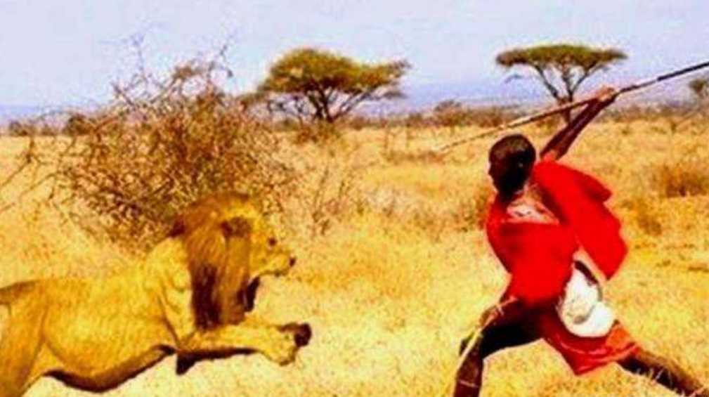 狮子为什么惧怕"马赛人"?跟着感受一下,说不定你也会怕