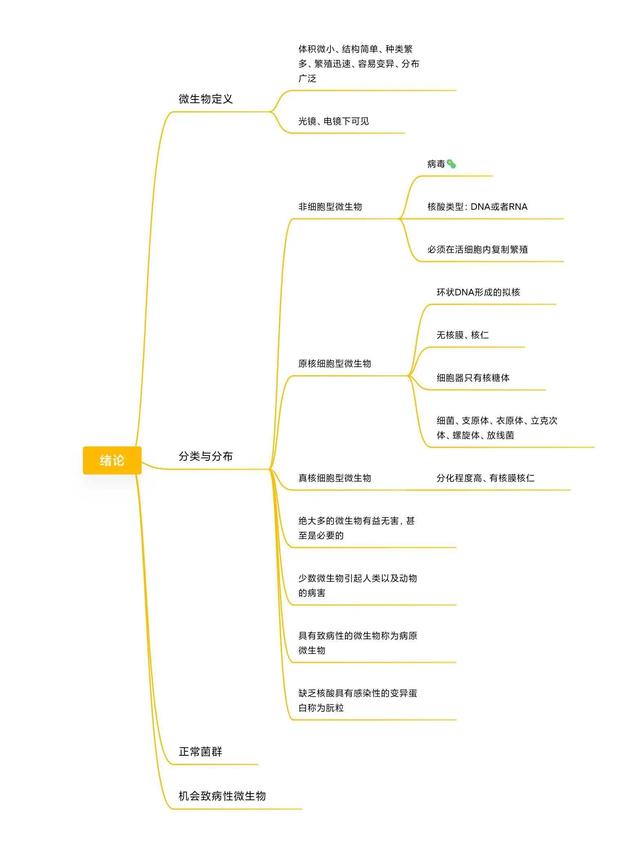 微小膜壳绦虫思维导图图片