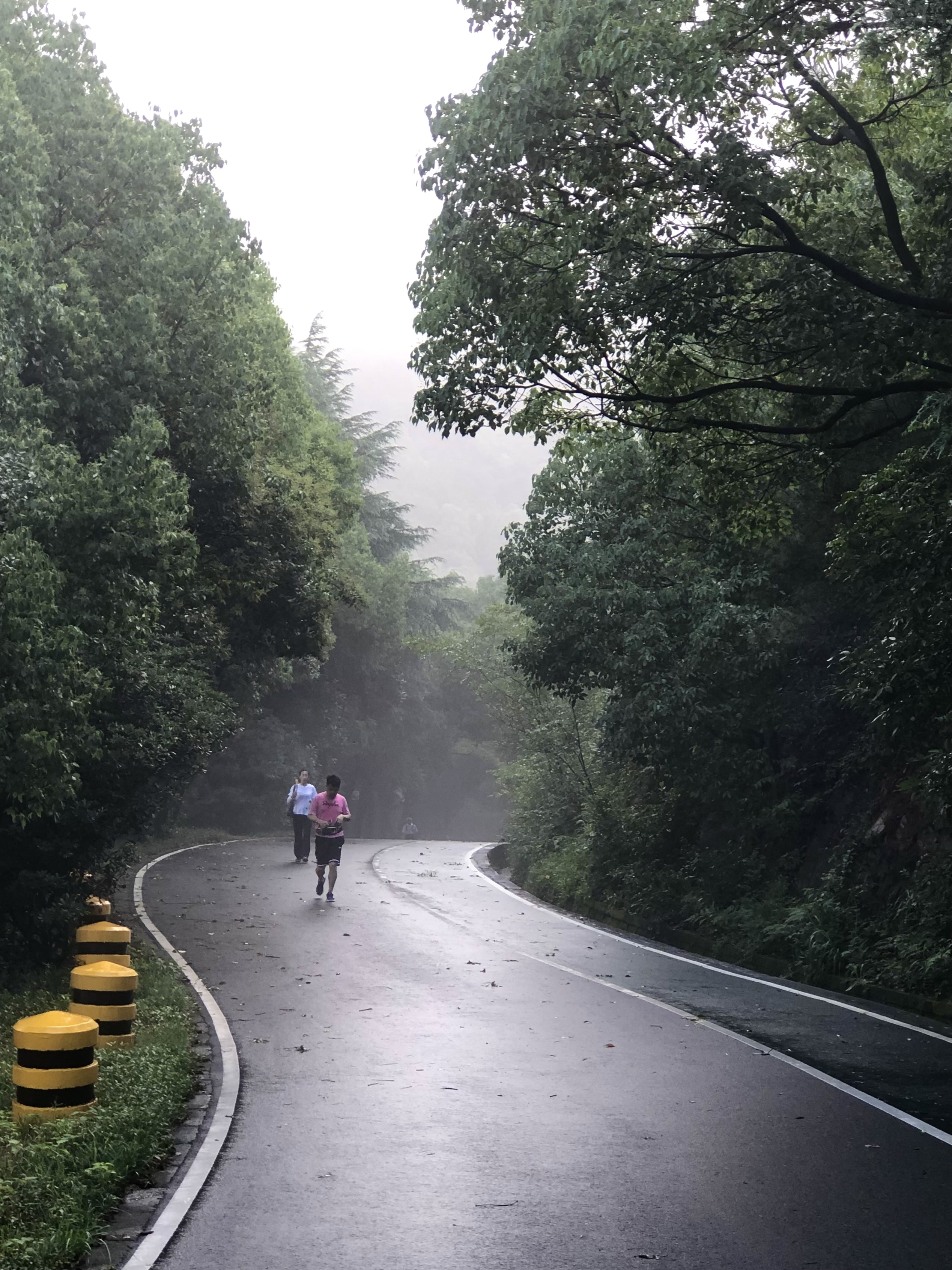 惠山国家森林公园徒步指南