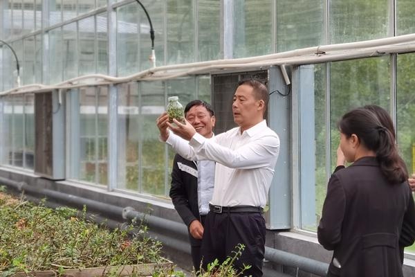 陈佳斌在曙坪镇调研座谈时强调:突出重点,体现特色,努力打造乡村振兴