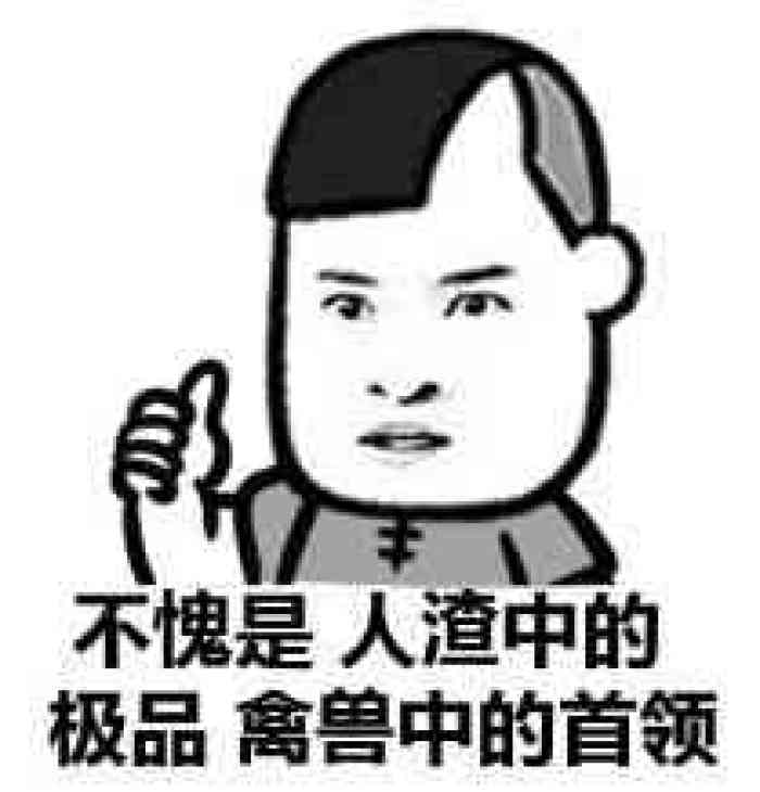 暴走表情包骂人图片