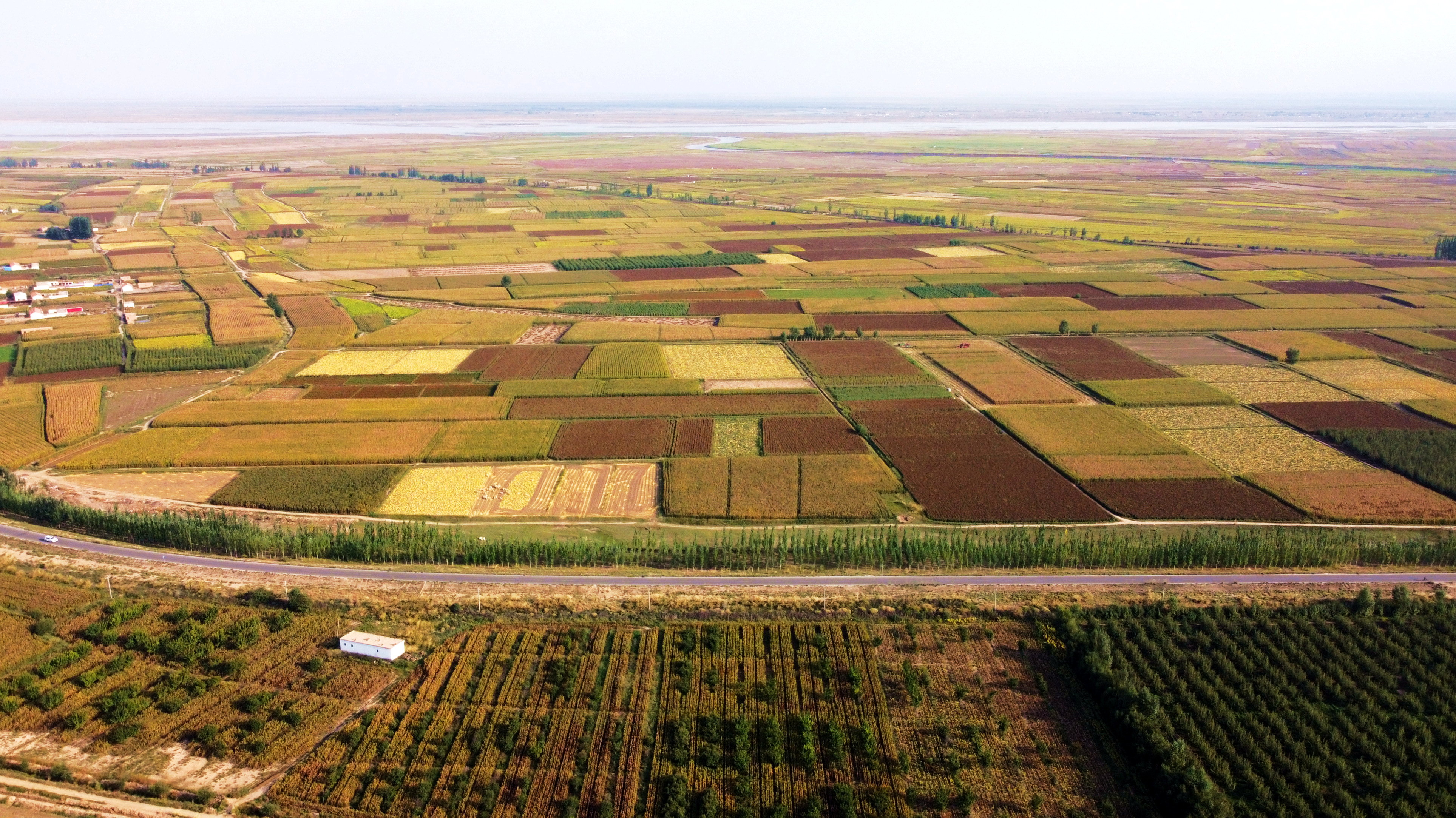 内蒙古:36个农牧业产业园带动农牧户增收