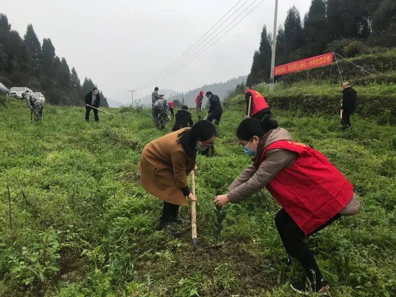 「致敬优秀基层执委」巴渝巾帼不让须眉—袁俊霞