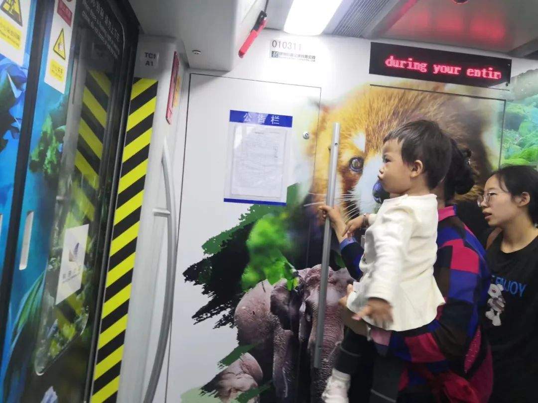 ���С��������ϡ��ŵ����г��������� ���ƶ����չݡ����������������Ƭ