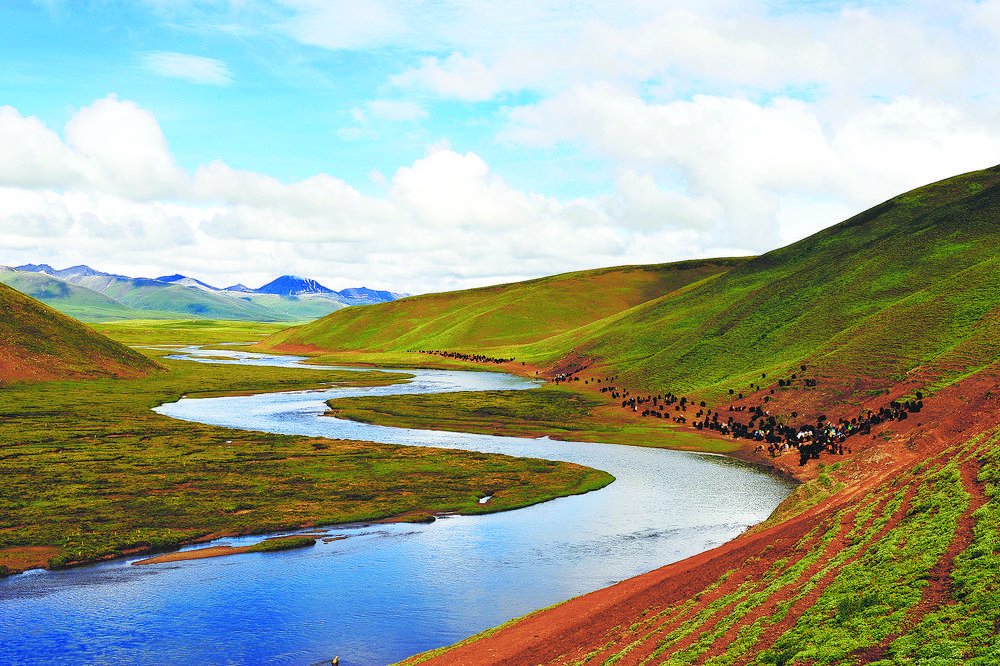 达日 黄河谷地秋景浓