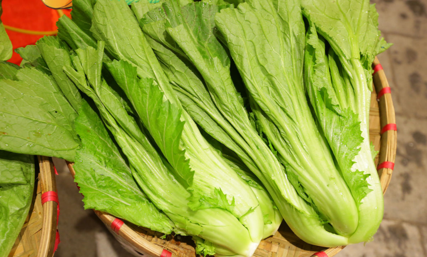 春季是补钙"黄金期"!5种高钙蔬菜,记得全家老小一起吃!