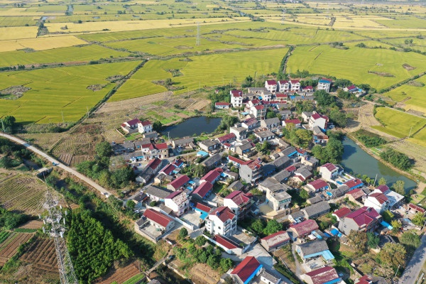 含山县环峰镇:"三个强化"谋发展 多元融合强产业