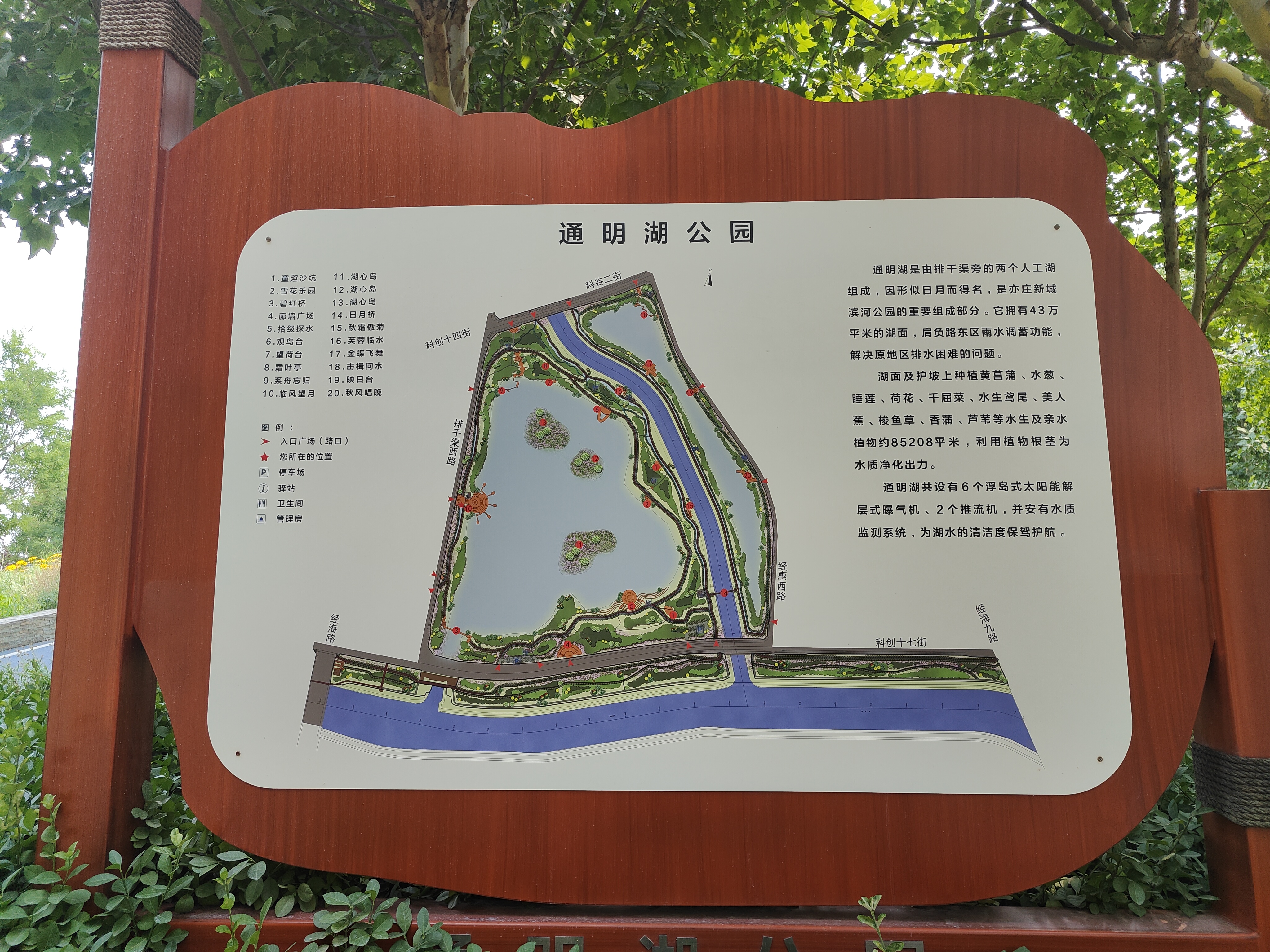 公园景区走马观花