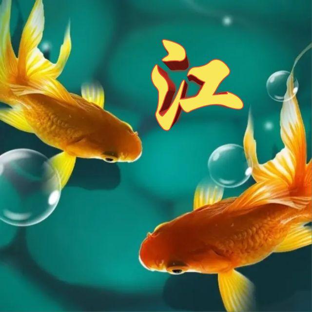 如鱼得水,自由自在,家和万事兴