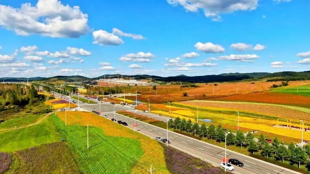 5千米的劝农大街按照"花海大道,风景艺廊"主题景观打造花期分布于6月