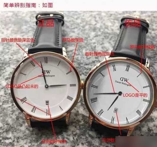 dw手表带的尺寸表