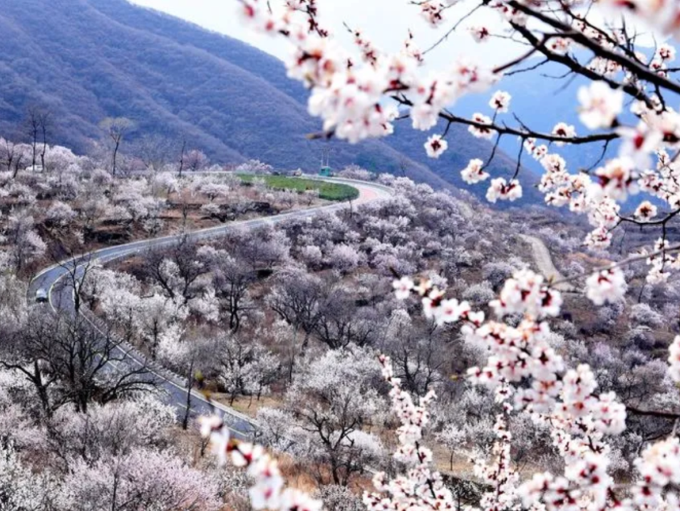 房山桃花源景区图片