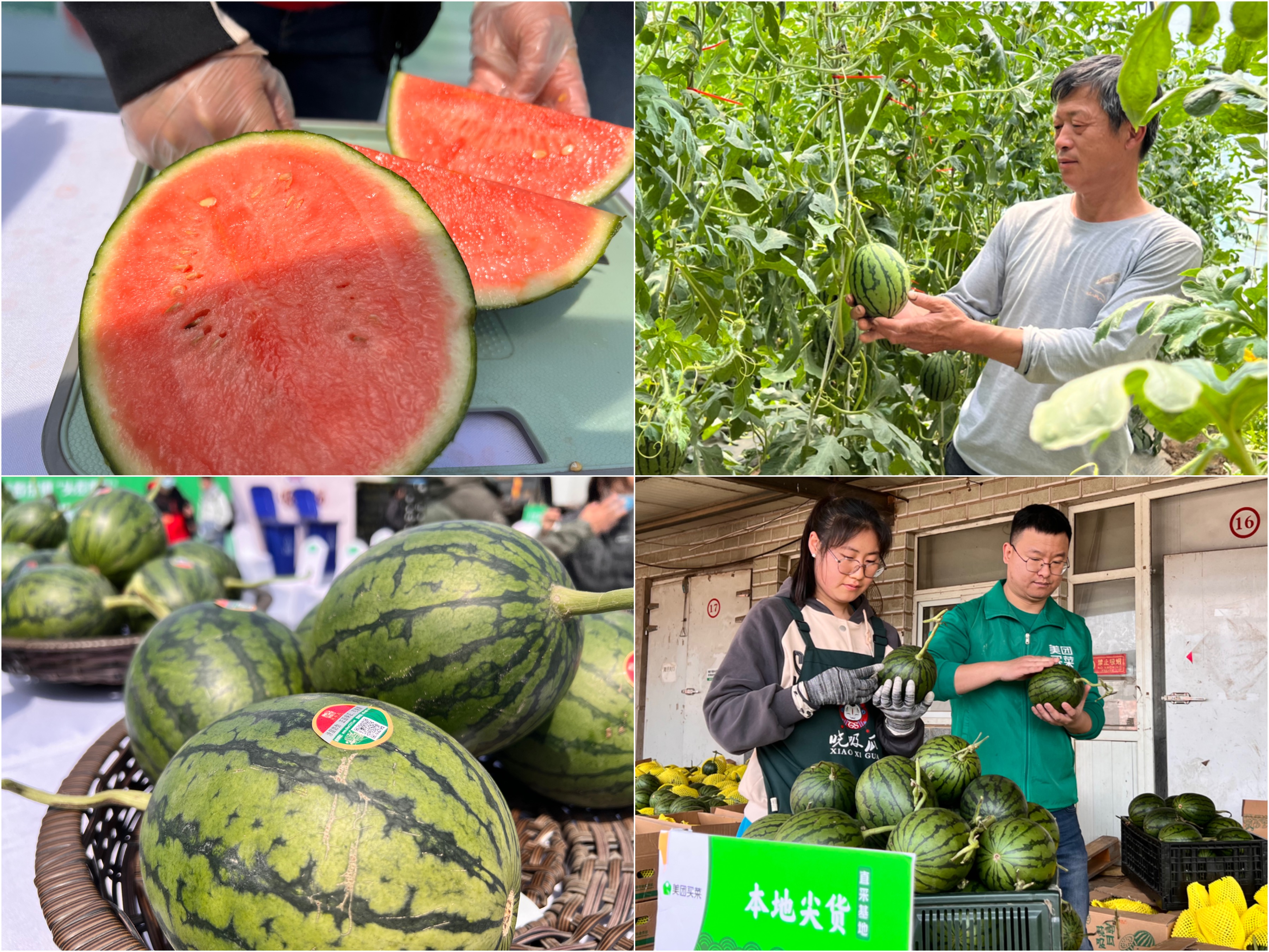 北京庞各庄头茬西瓜上线美团买菜,首次贴上"溯源码"