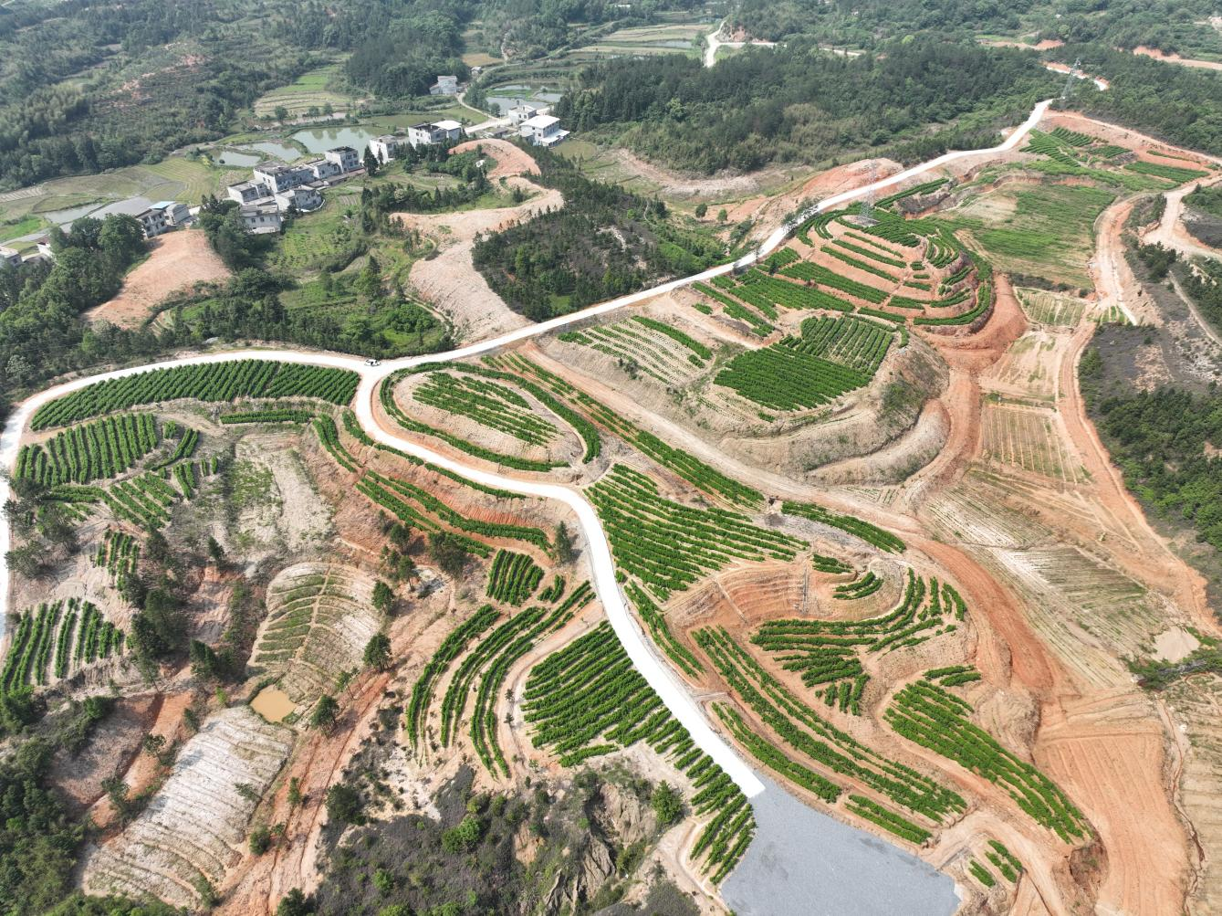 通城县五里镇尖山村:党的二十大精神扎根村湾 共同缔造凝聚民心