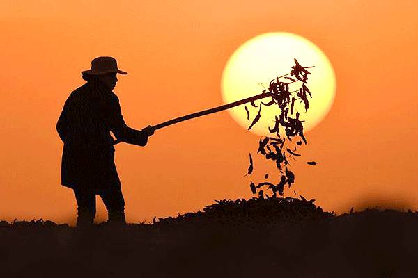 农民伯伯,这几点注意了!