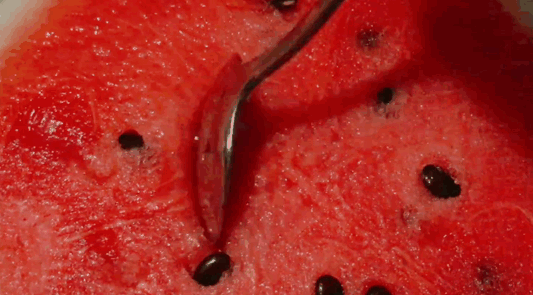 简明西瓜史:中国古人最早吃瓜场面出现在