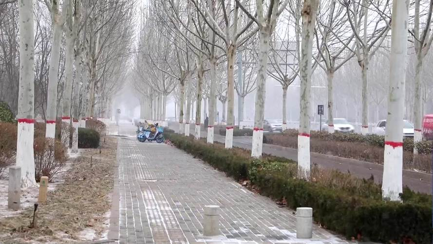 东营天气今日情况