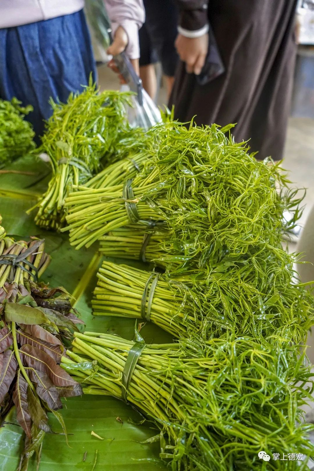 食春 | 50元一斤?德宏这些"时髦"菜降价了