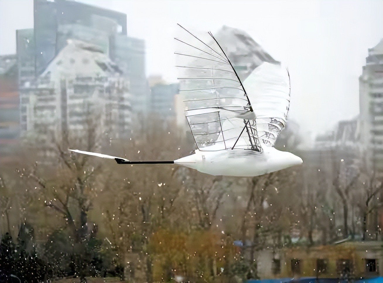 人类能否像鸟儿一样飞翔?探索航空科技的奇迹和未来可能性