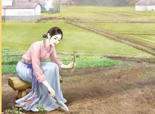 《农家小福女》穿成小农女,自带系统,带领兄弟嫂子们开荒种地