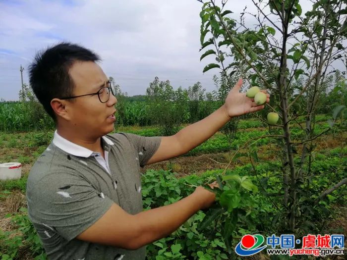 虞城县付堂村:走在幸福的大路上