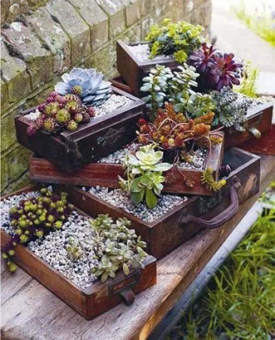 【乡村振兴 巾帼行动】美丽庭院创建小锦囊——废物利用,让你的庭院与