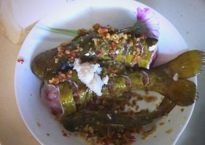 贵州角角鱼:美味诱惑与钓食乐趣的完美结合