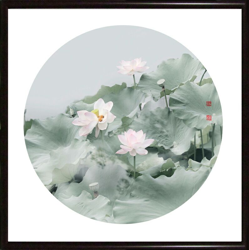 老沁:画意摄影 水墨荷花