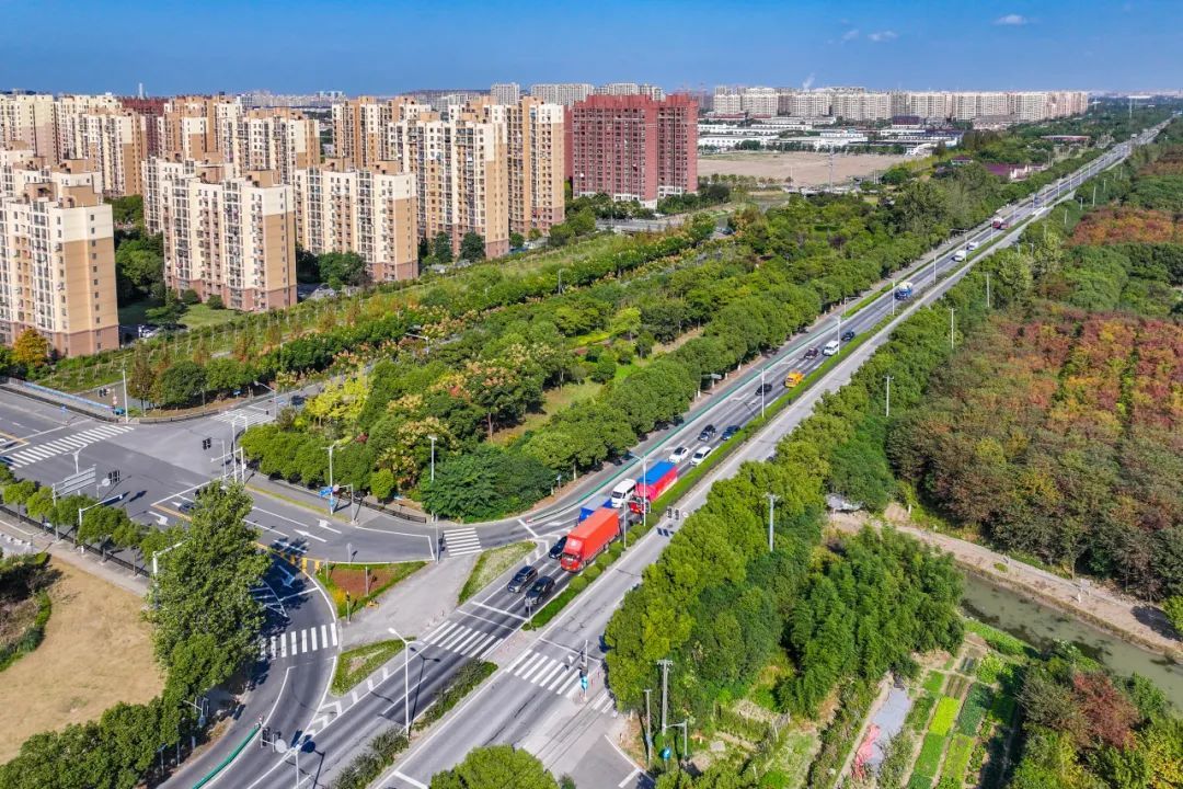 一大波美图袭来,带你领略不一样的奉贤新城丨第一弹