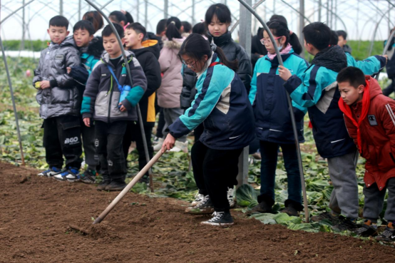 泗阳县实验小学图片