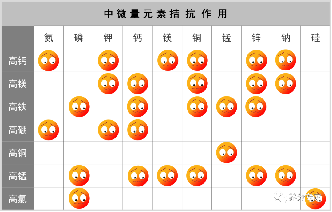 科学施肥中的养分协同与拮抗作用考量