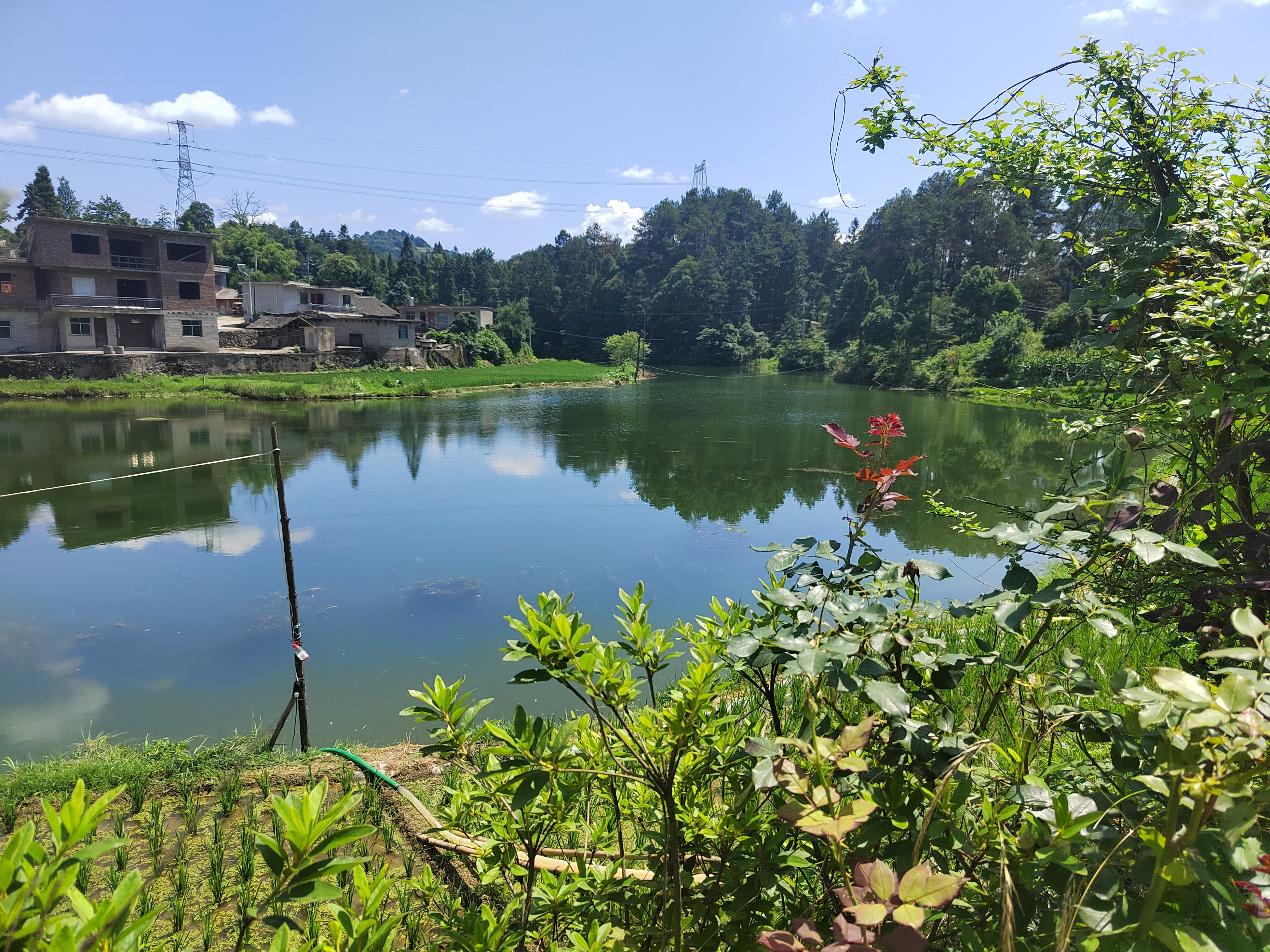 麻江县金竹街道中坝村:动员全民 助力和美城乡"四大行动"