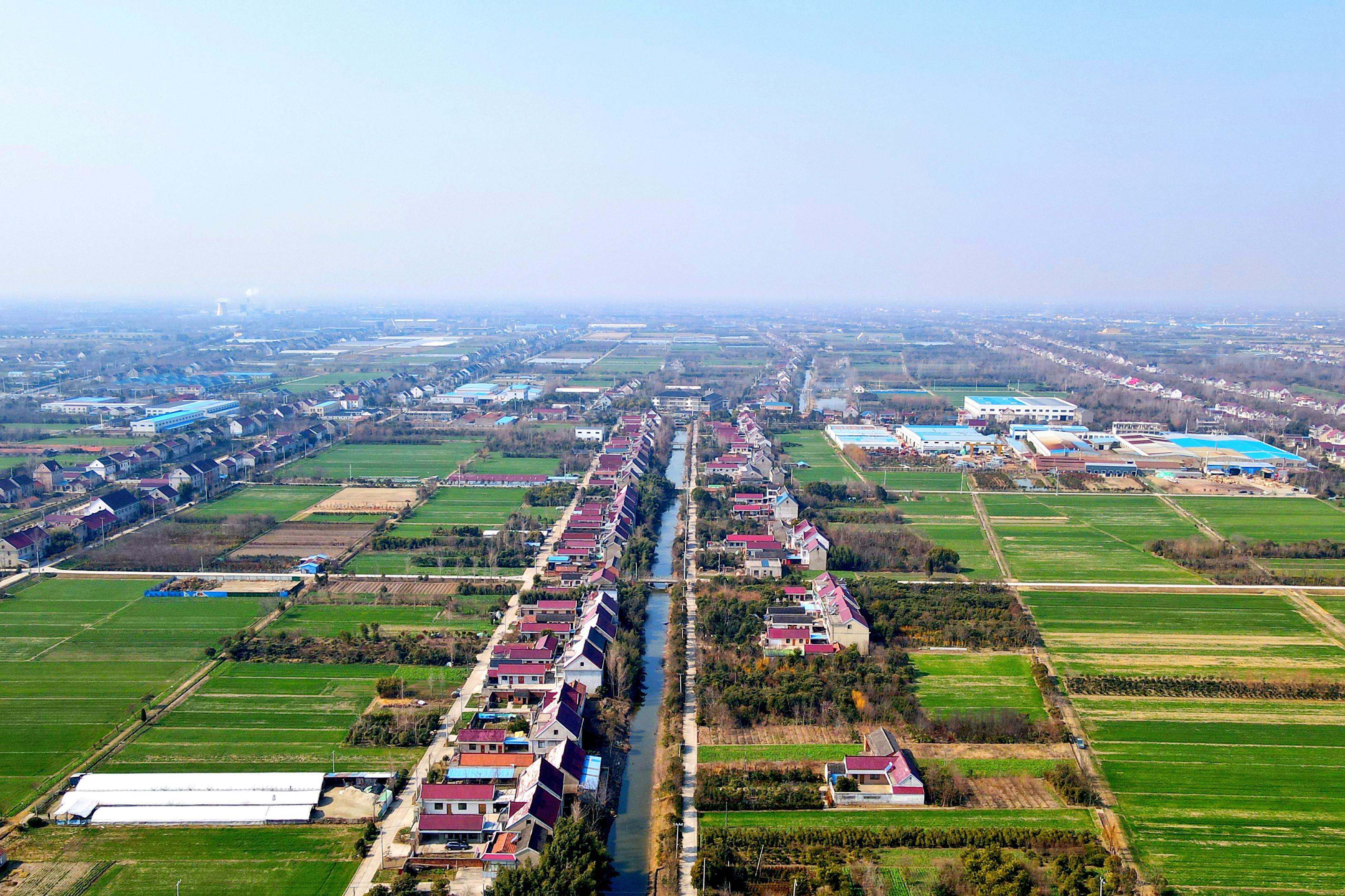 江苏如皋:早春时节 高标准农田春意浓