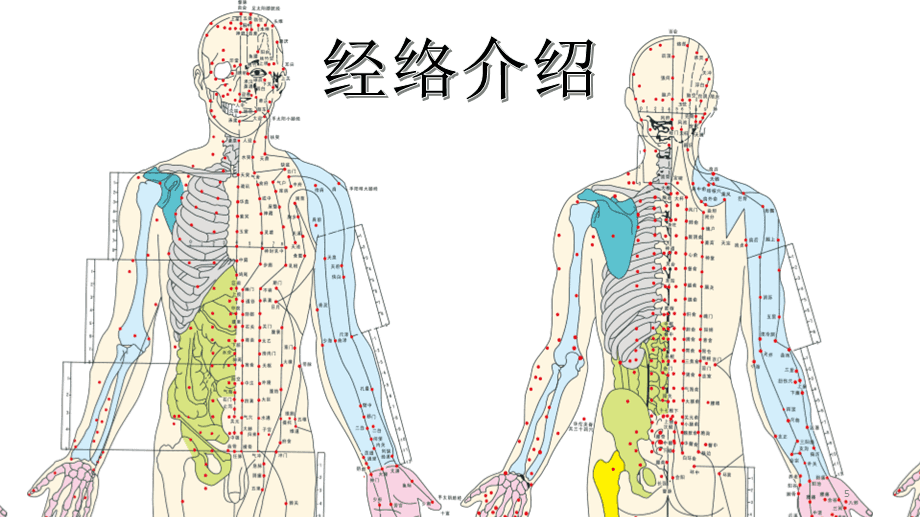 古代没有解剖学