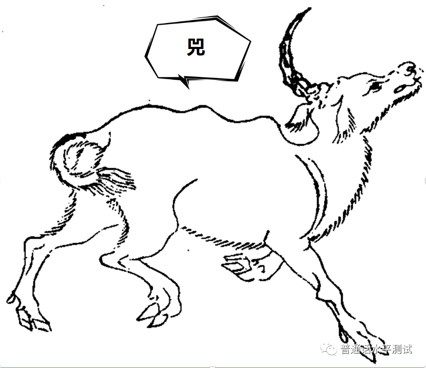 "兕"是啥神兽?怎么读?