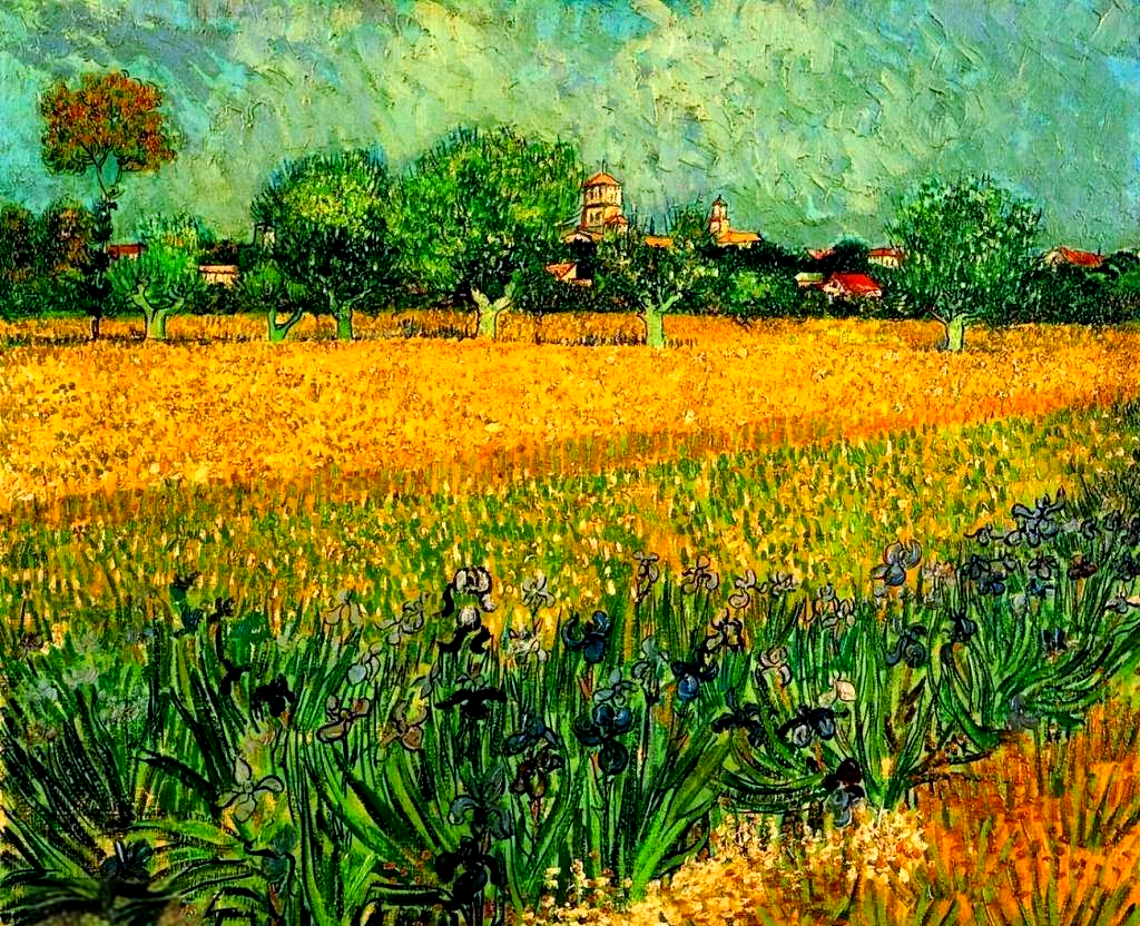 梵高鸢尾花系列作品欣赏