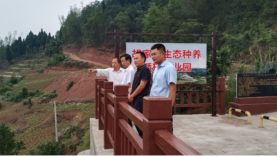 今日,县委常委,政法委书记张林森到兜山镇调研指导乡村振兴,集体经济