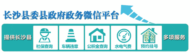 2025松雅湖商圈汽车消费节正式启动-有驾