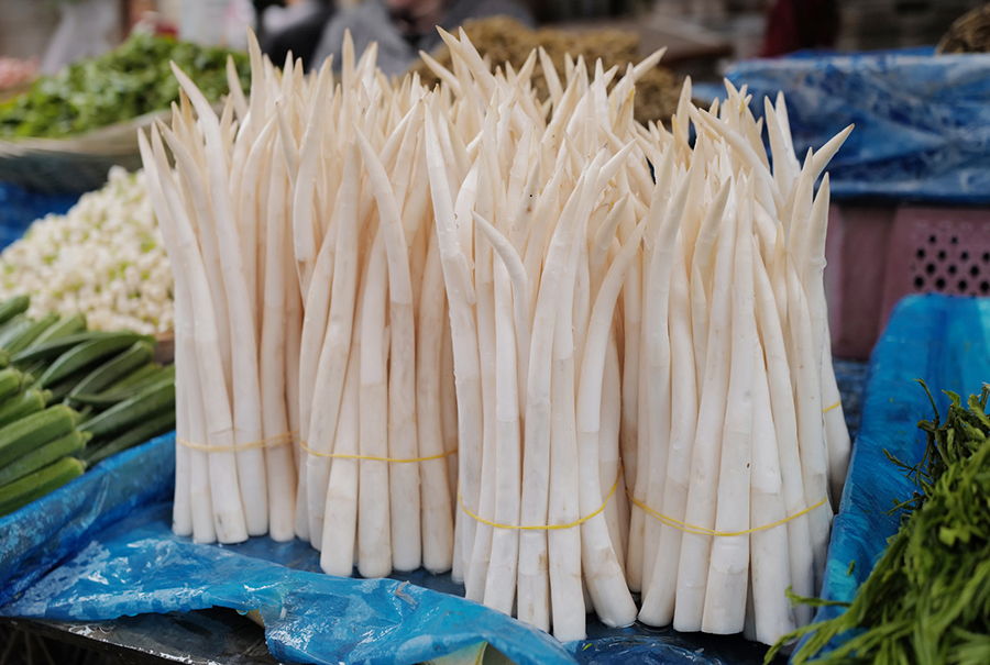 下厨房|建水草芽,水灵灵的脆嫩滋味