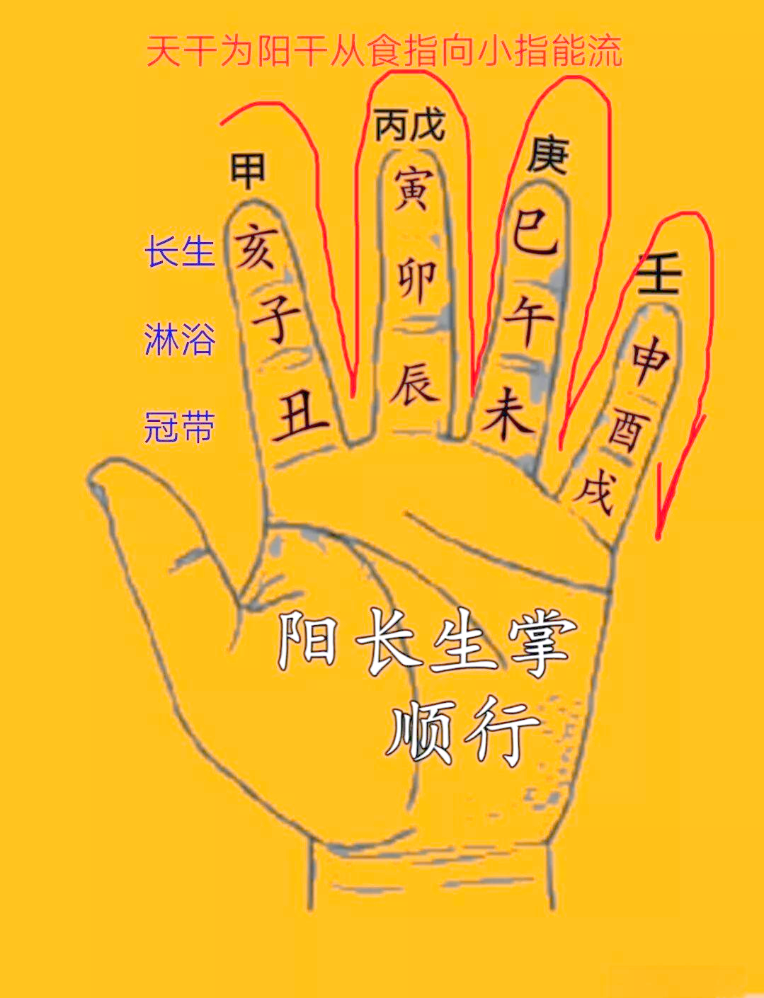 探索阴阳掌法中的长生之谜