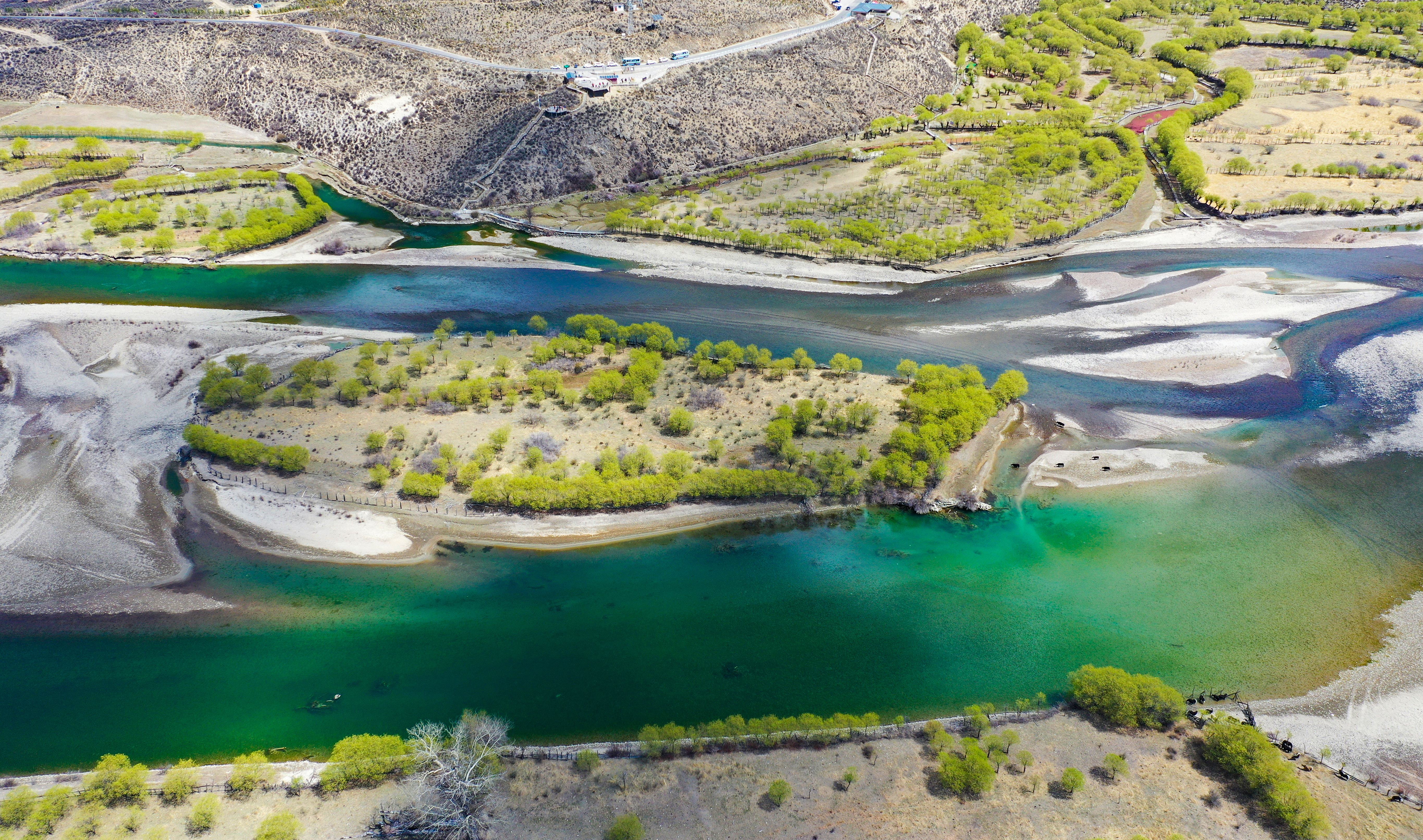 (环境)西藏雅尼国家湿地公园春光美