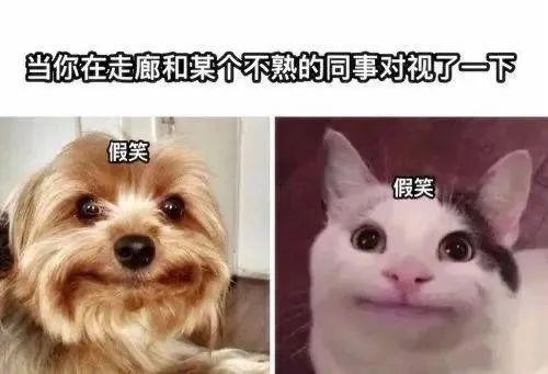 社恐生存指南(她的末世生存指南)