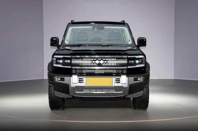 比亚迪方程豹豹 4 怎么样?