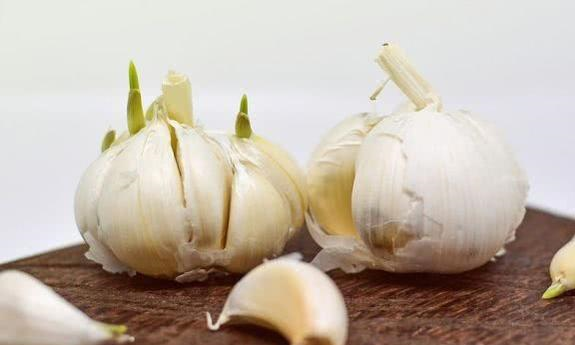 吃大蒜能治疗痛风吗?