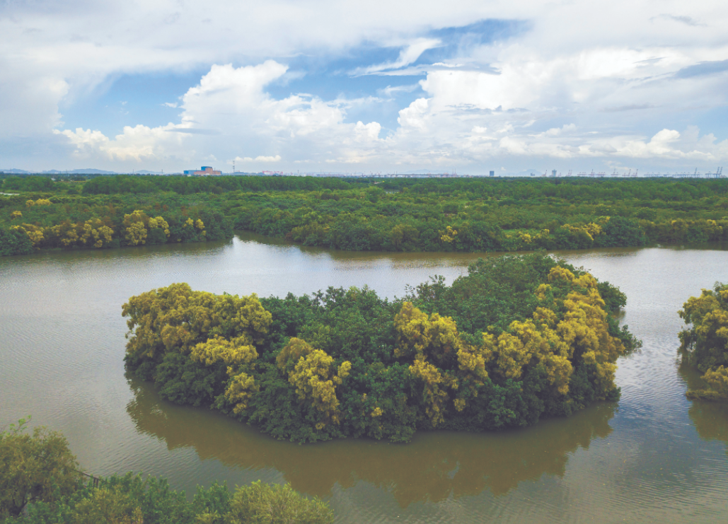 一把手访谈|邓毛颖:推进高质量发展 扛起规划资源新担当