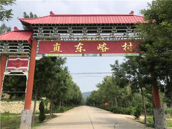 犄角旮旯也能"生金",济南市平阴直东峪村闲散土地变"聚宝盆"