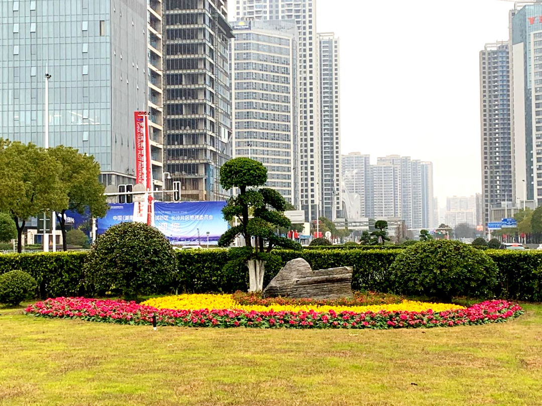 春节我在岗｜雨花园林坚守一线，增花添彩27.3万盆