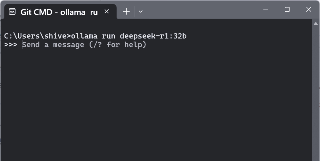 DeepSeek-R1 本地部署全攻略，让你轻松畅享 AI 服务！插图7